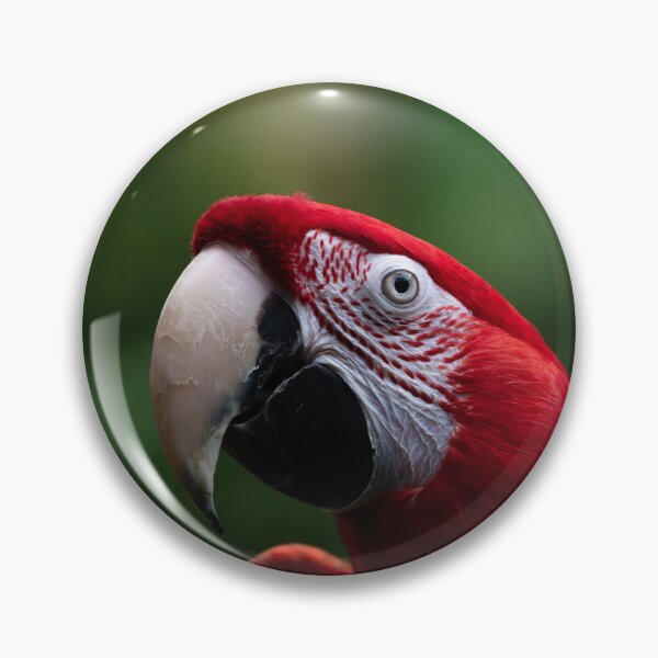Item preview, Red Parrot  designed and sold by asun5.