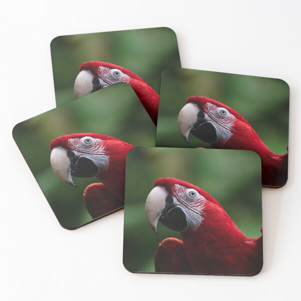 Item preview, Red Parrot  designed and sold by asun5.