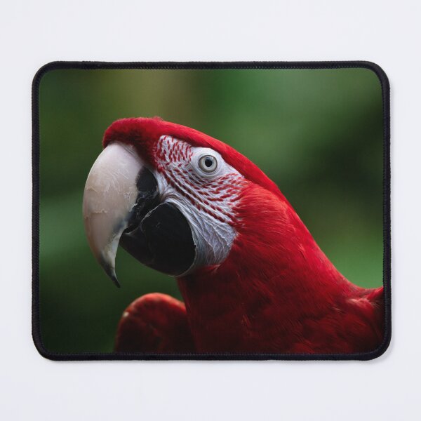 Item preview, Red Parrot designed and sold by asun5.