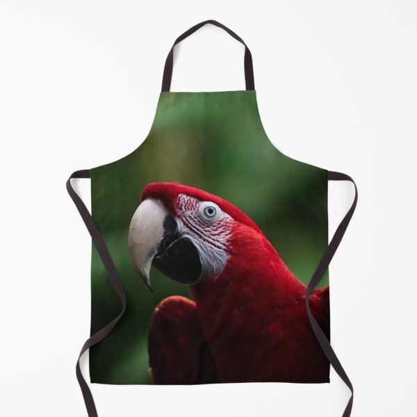 Item preview, Red Parrot designed and sold by asun5.