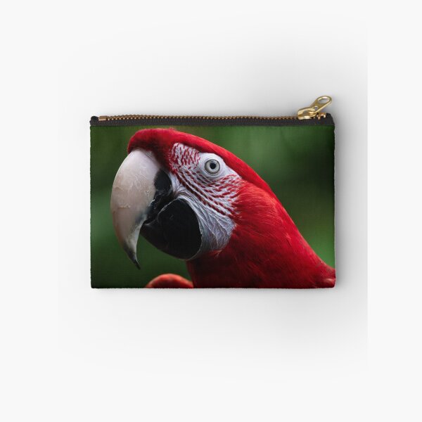 Item preview, Red Parrot  designed and sold by asun5.