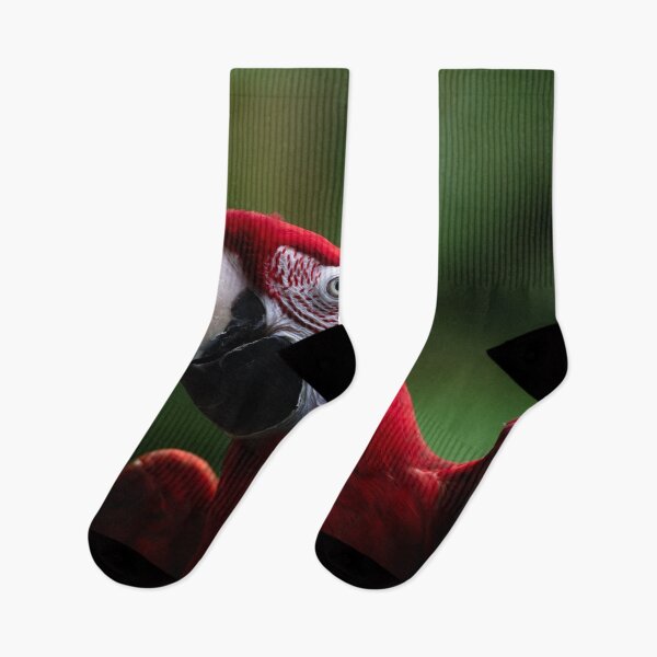 Item preview, Red Parrot  designed and sold by asun5.