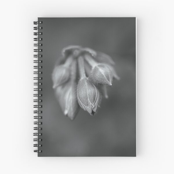 Item preview, Cranesbill Plant Buds designed and sold by Joy Watson - Natural Light Photography .