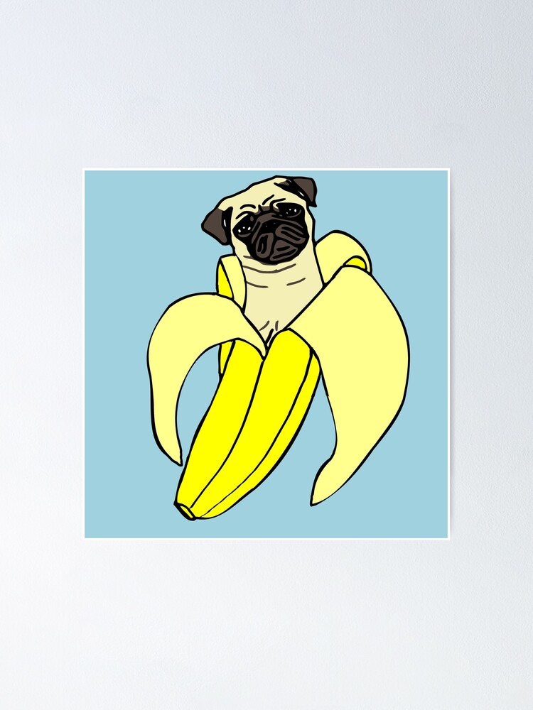 pug banana