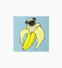 banana pug Art Board