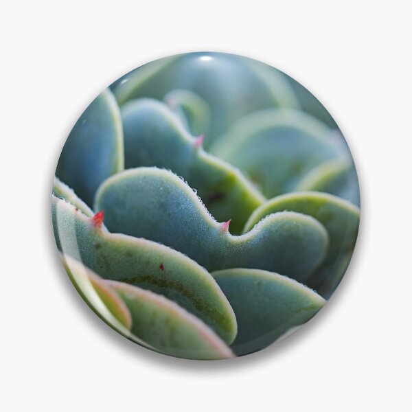 Item preview, Winter Succulent Greens designed and sold by Joy Watson - Natural Light Photography .