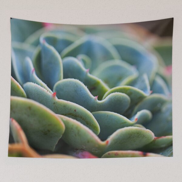 Item preview, Winter Succulent Greens designed and sold by Joy Watson - Natural Light Photography .