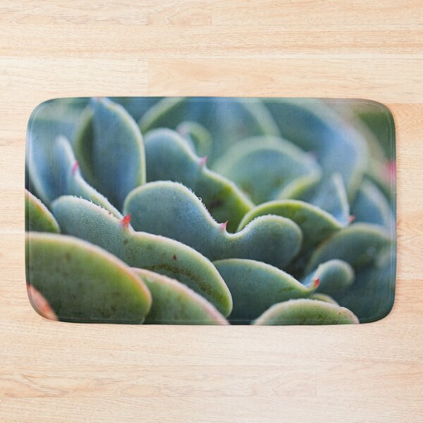 Item preview, Winter Succulent Greens designed and sold by Joy Watson - Natural Light Photography .