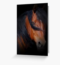 Black Magic Greeting Card