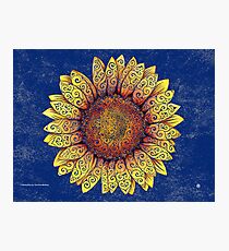 Lámina fotográfica Girasol Swirly