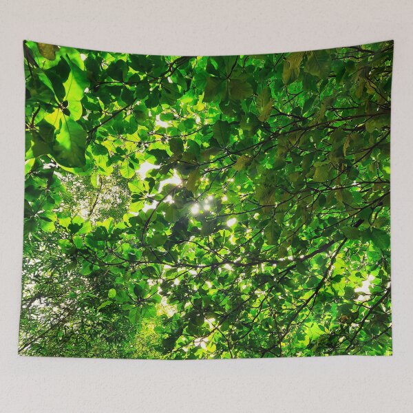 Item preview, small green leaves and trees forest photography, tree branches full of leaves, sunshine designed and sold by riidesignss.