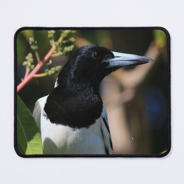 Item preview, Beaut Black and White Bird designed and sold by KazM.