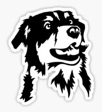 Australian shepherd Sticker