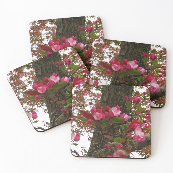 Item preview, Spring blossoms 2 - Strawberry Parfait Crabapple designed and sold by rvjames.