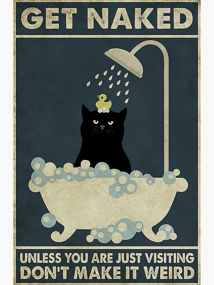 Get Naked Black Cat Poster For Sale By Biankablank Redbubble