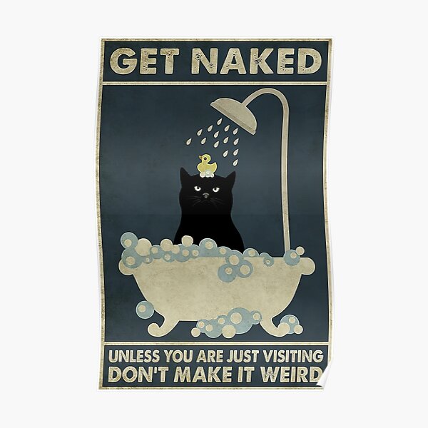 Get Naked Black Cat Poster For Sale By Biankablank Redbubble