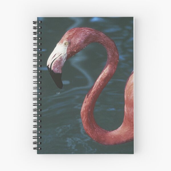 Item preview, another tickled pink flamingo  designed and sold by Paul Davenport.