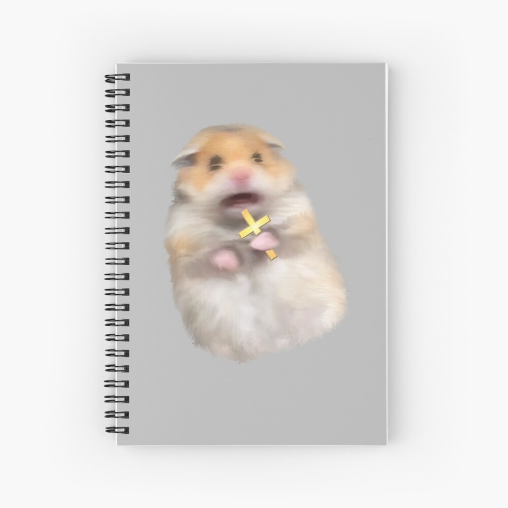 scared-hamster-with-cross-meme-funny-screaming-hampster-memes-spiral