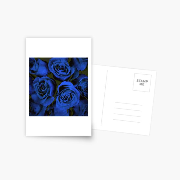 Mothers Day Gift - In Blue - Gothic Blue and Black Roses Gift Postcard