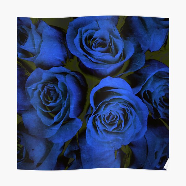 Mothers Day Gift - In Blue - Gothic Blue and Black Roses Gift Poster