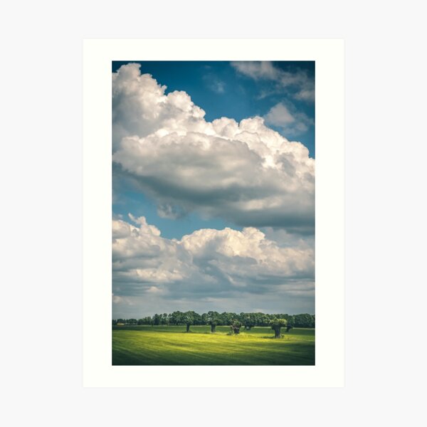 Willows and clouds (Schalkwijk, Utrecht) Art Print