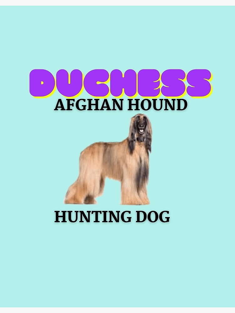 "Afghan Hound, Hunting Dog, Duchess, Dog Names" Poster for Sale by