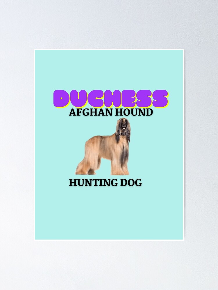 "Afghan Hound, Hunting Dog, Duchess, Dog Names" Poster for Sale by
