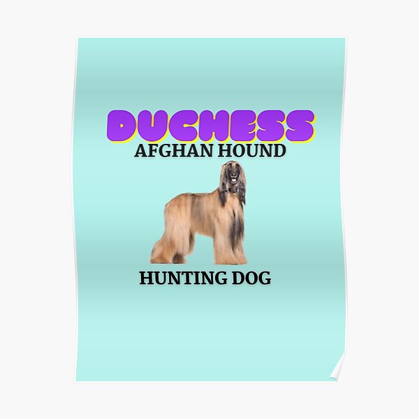 "Afghan Hound, Hunting Dog, Duchess, Dog Names" Poster for Sale by