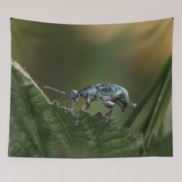 Item preview, Weevil on the edge designed and sold by cuprum.
