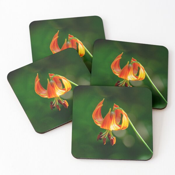 Item preview, Michigan Lily at Cedar Bog - Ohio designed and sold by Kathy Weaver.