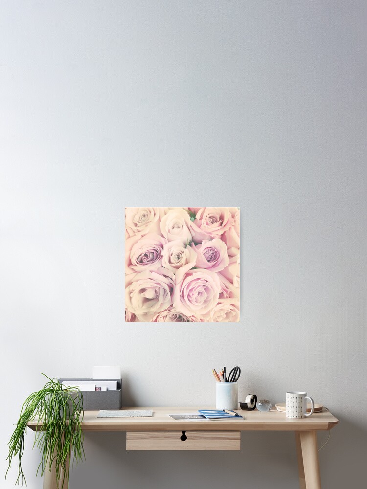 Thumbnail 1 of 3, Poster, Gift for Gardener - Pink Rose Blush Pastel Gift - Floral Present designed and sold by OneDayArt.