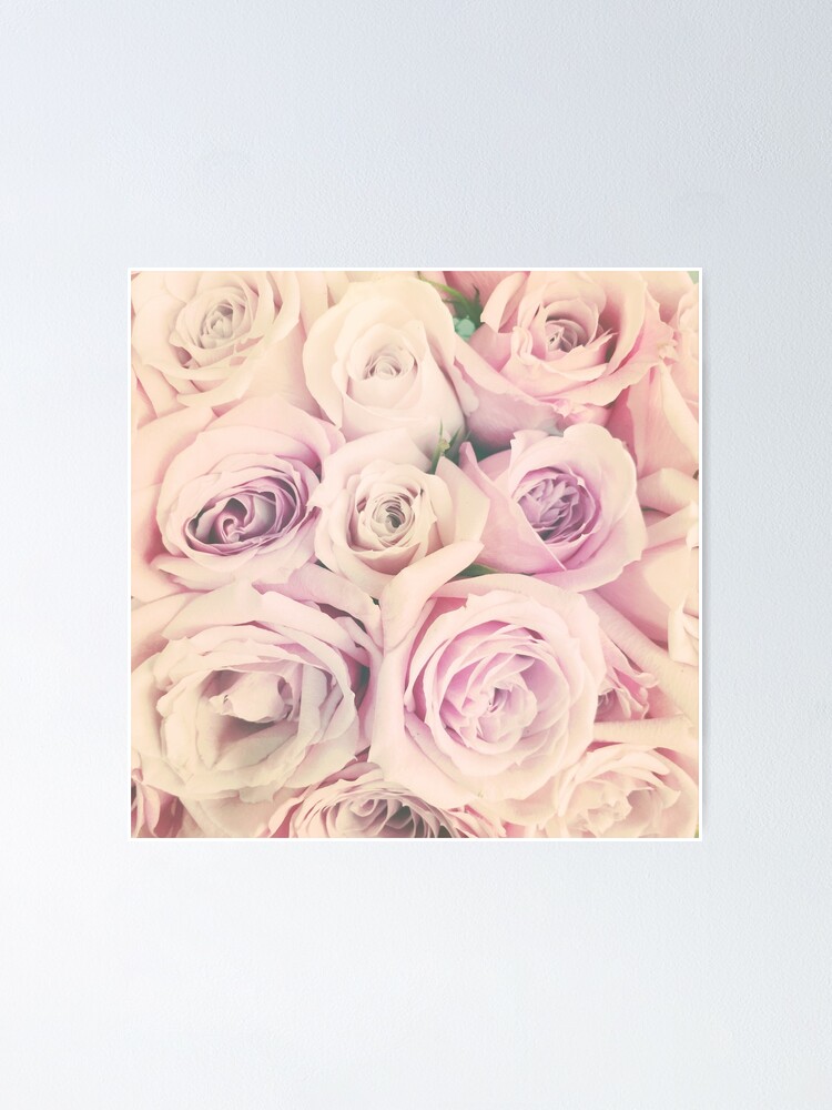 Thumbnail 2 of 3, Poster, Gift for Gardener - Pink Rose Blush Pastel Gift - Floral Present designed and sold by OneDayArt.