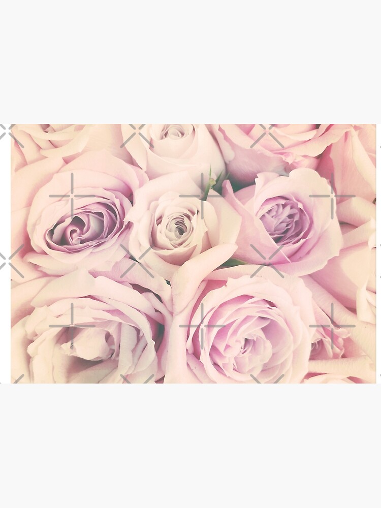 Gift for Gardener - Pink Rose Blush Pastel Gift - Floral Present by OneDayArt