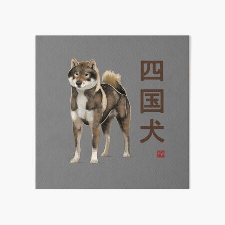 Haku the Shikoku Ken 15in Dog Plush – Prime Shiba