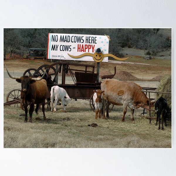 Item preview, No Mad Cows designed and sold by Dennis Jones - CameraView.