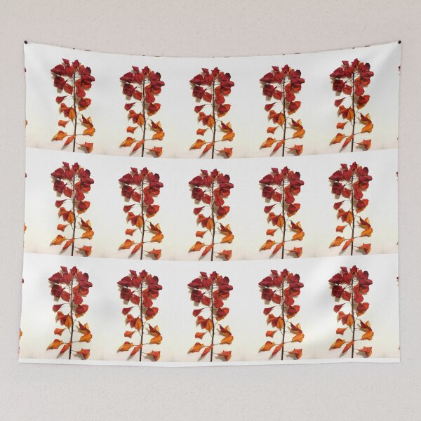 Item preview, Smokebush Leaves in October designed and sold by Mike Solomonson.
