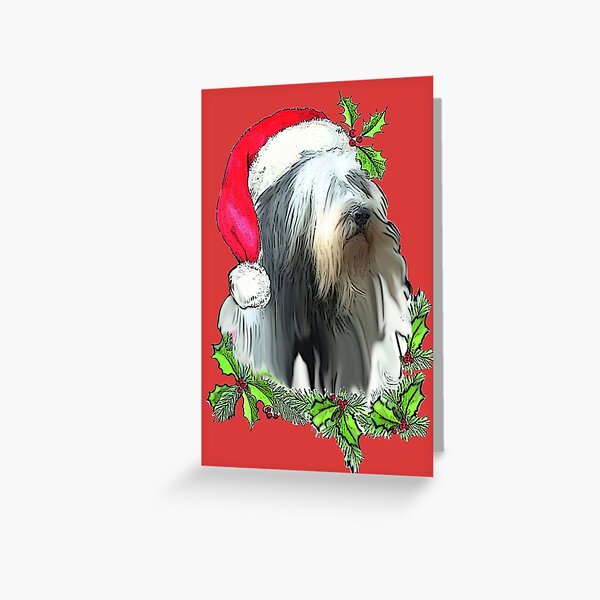 Bearded collie in Santa Hat Greeting Card