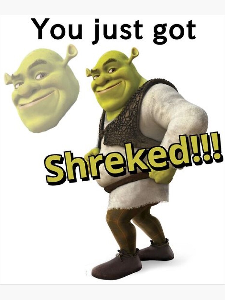 Shrek Meme Funny Vinyl Sticker - 3 Pack