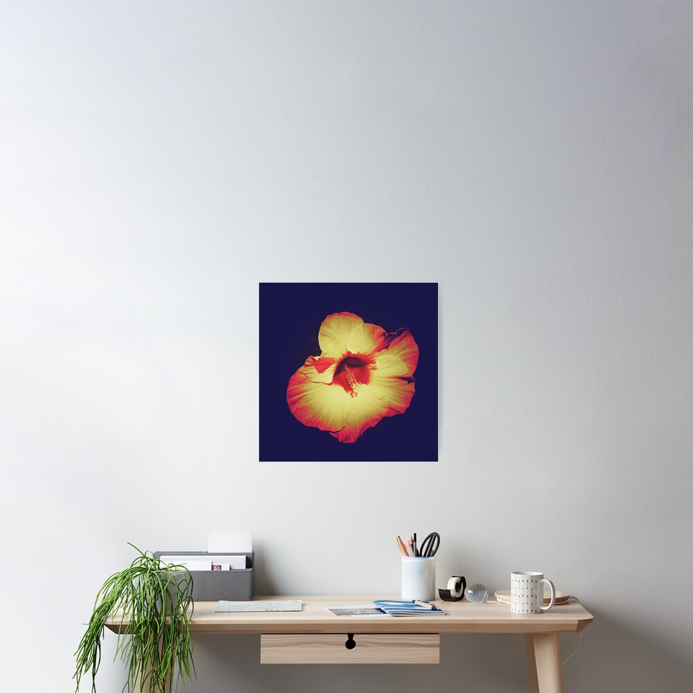 Item preview, Poster designed and sold by OneDayArt.