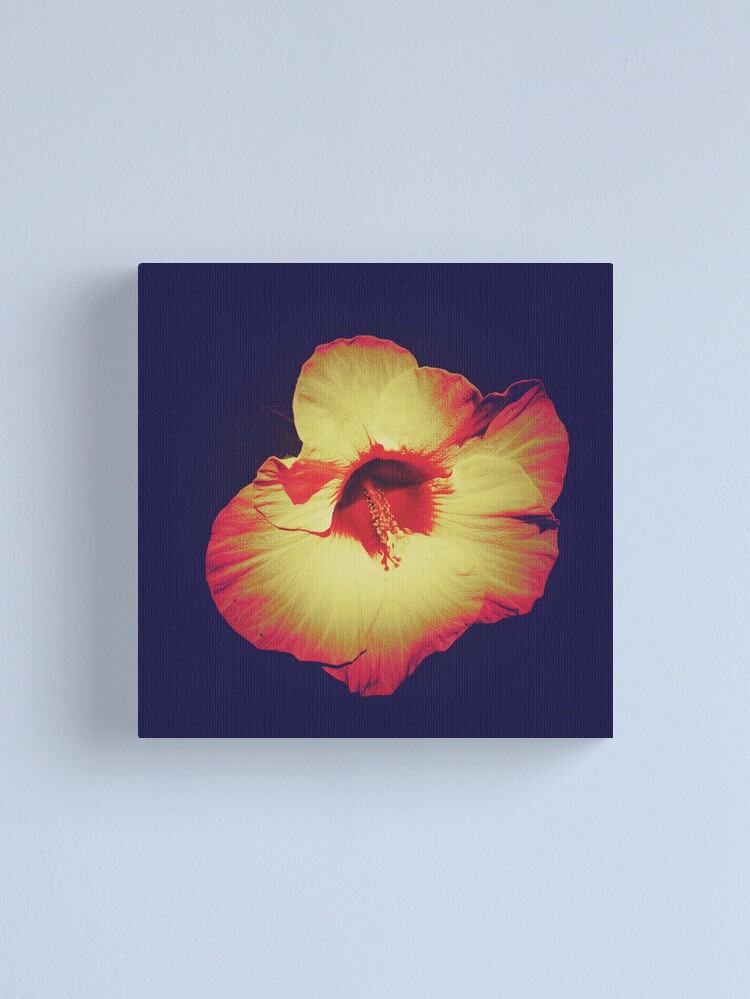 Thumbnail 1 of 3, Canvas Print, Floral Gift - Single Hibiscus Black Orange and Beige Design designed and sold by OneDayArt.
