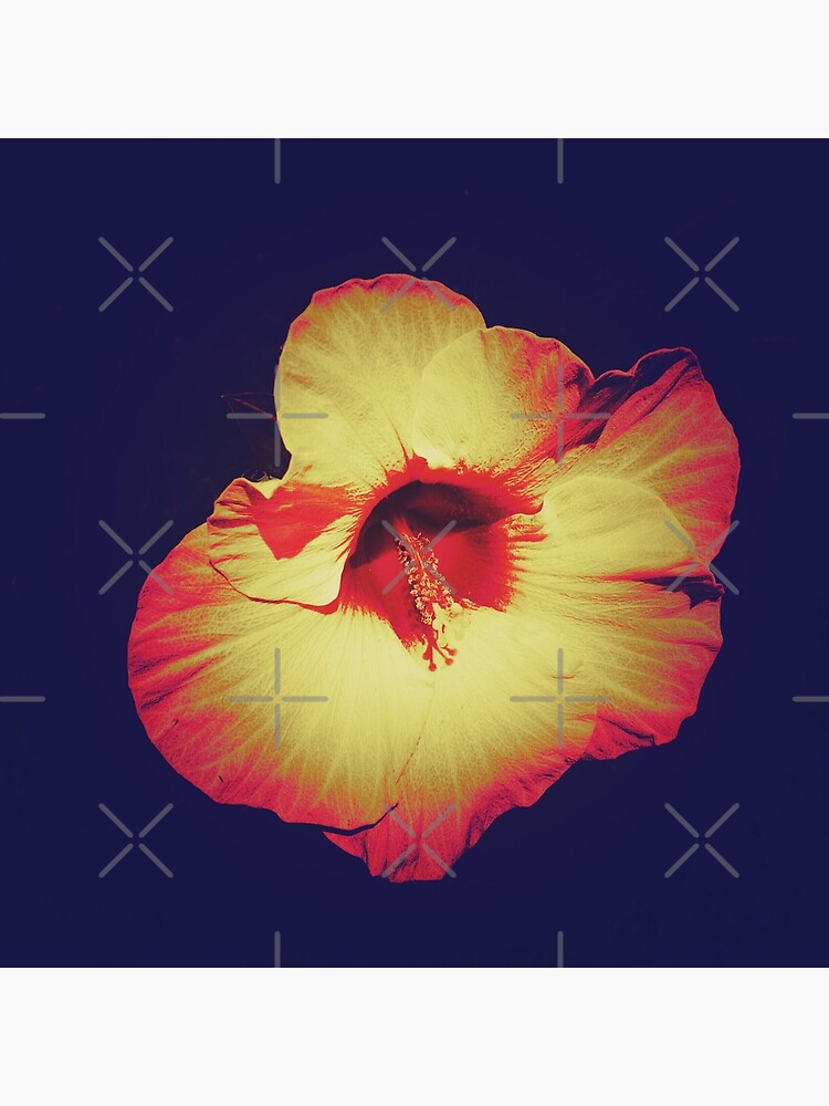 Thumbnail 2 of 2, Postcard, Floral Gift - Single Hibiscus Black Orange and Beige Design designed and sold by OneDayArt.