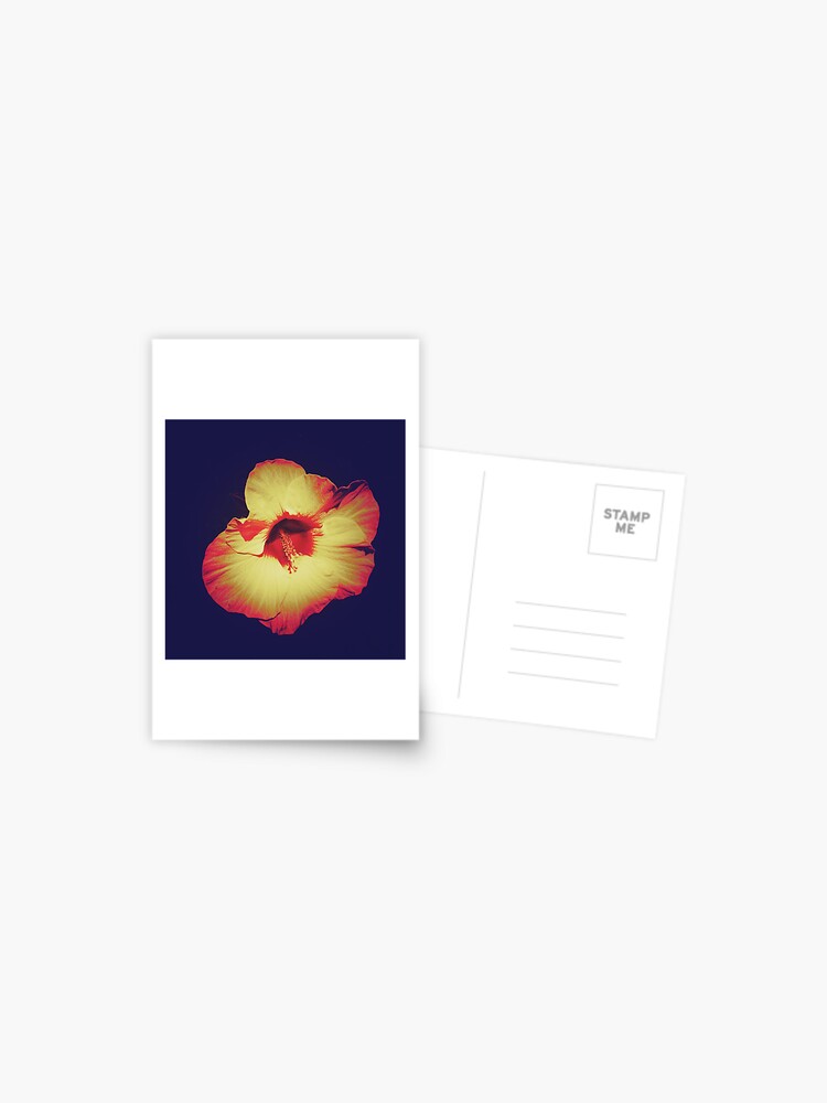 Thumbnail 1 of 2, Postcard, Floral Gift - Single Hibiscus Black Orange and Beige Design designed and sold by OneDayArt.