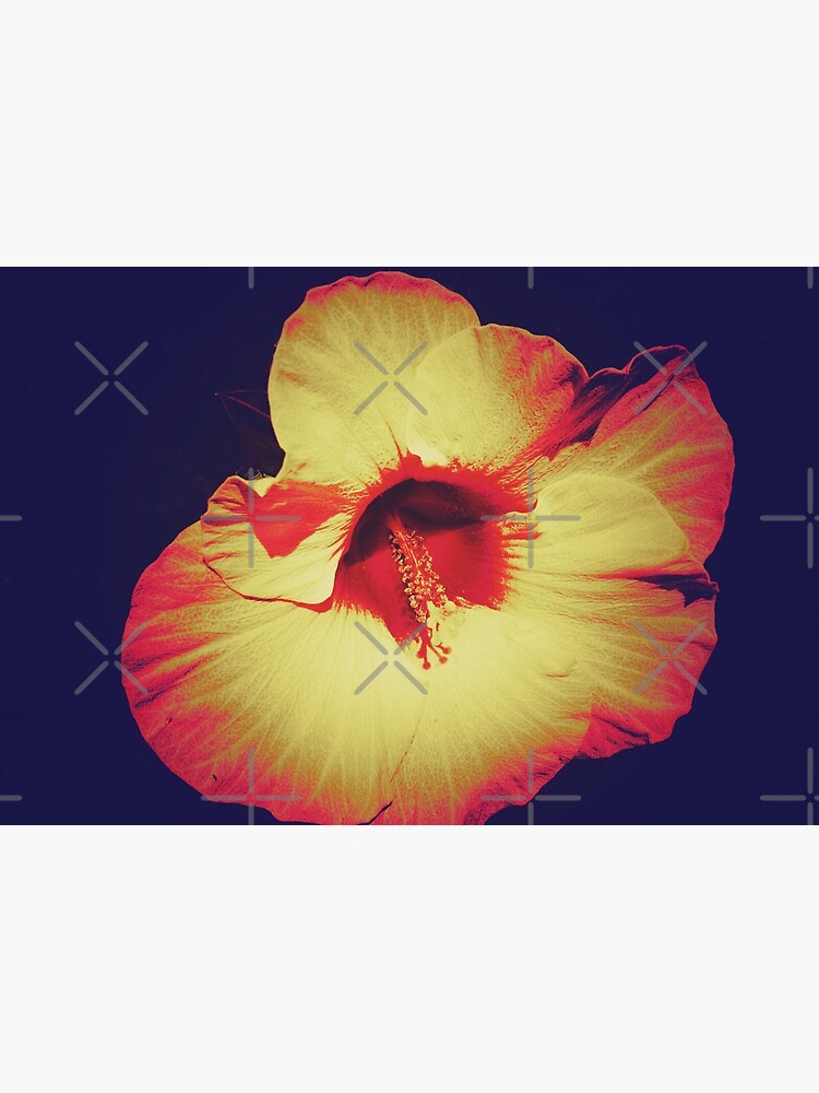 Floral Gift - Single Hibiscus Black Orange and Beige Design by OneDayArt