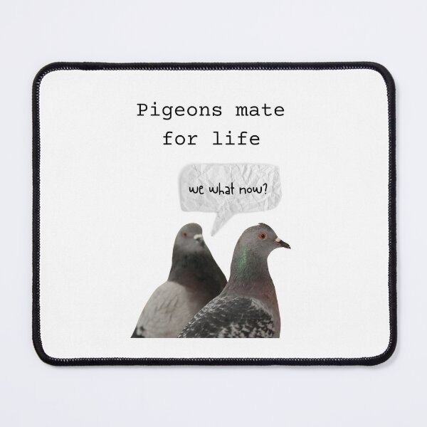 Item preview, Pigeon Love - Black Text designed and sold by pinkypingu.