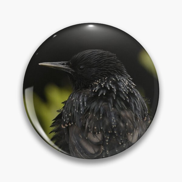 Item preview, Windblown Starling designed and sold by rwhooster.