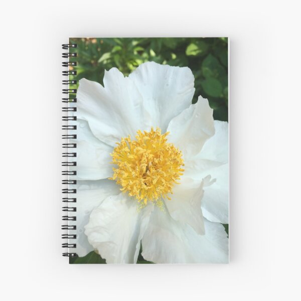 Floral Gift - Chinese Peony Photography - Gardening Present Spiral Notebook