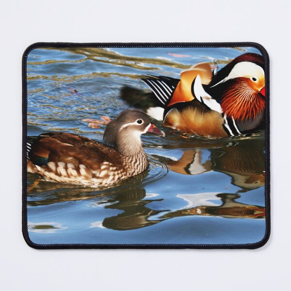 Item preview, Feng Shui Mandarin Duck Chinese Swimming in the Same Direction designed and sold by FengShuiLounge.
