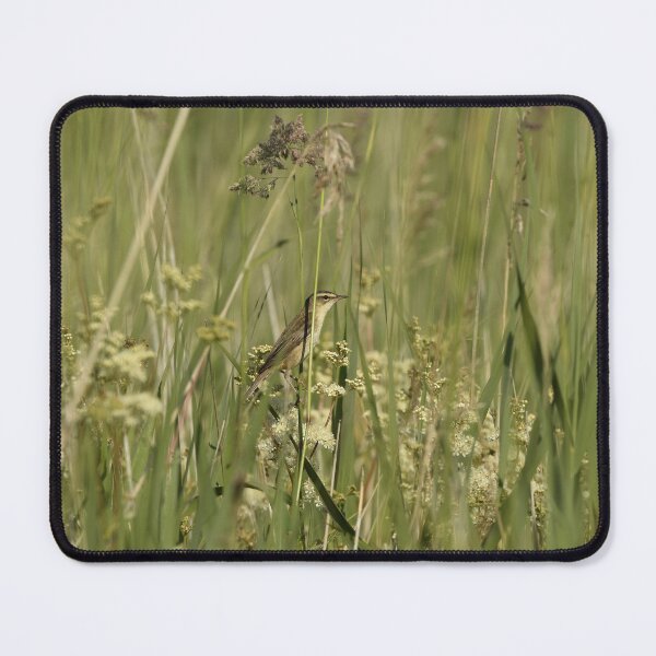 Item preview, Sedge Warbler  designed and sold by rwhooster.