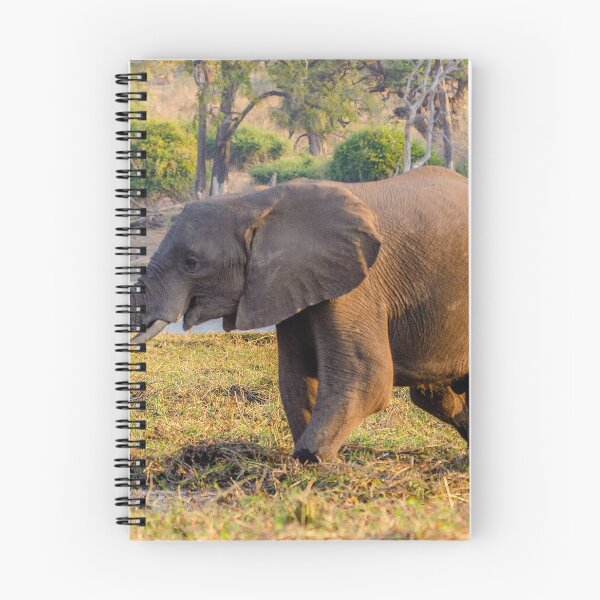 Item preview, Young elephant in the early morning - Chobe River  designed and sold by Jensphotos.