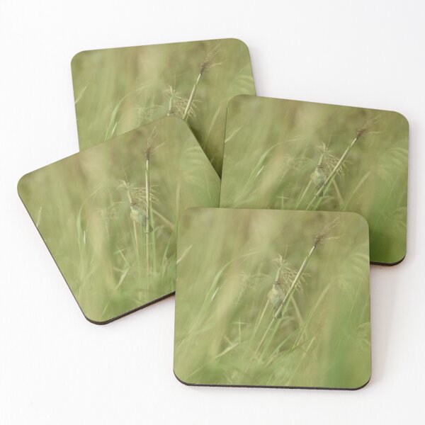 Item preview, Hidden Sedge Warbler  designed and sold by rwhooster.